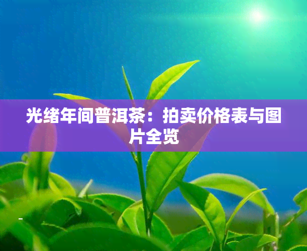 光绪年间普洱茶：拍卖价格表与图片全览