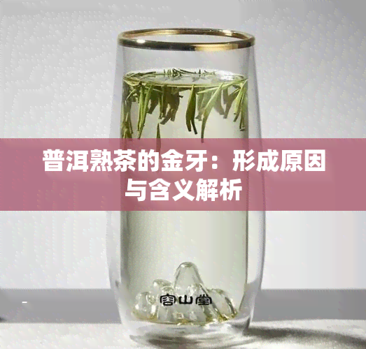 普洱熟茶的金牙：形成原因与含义解析