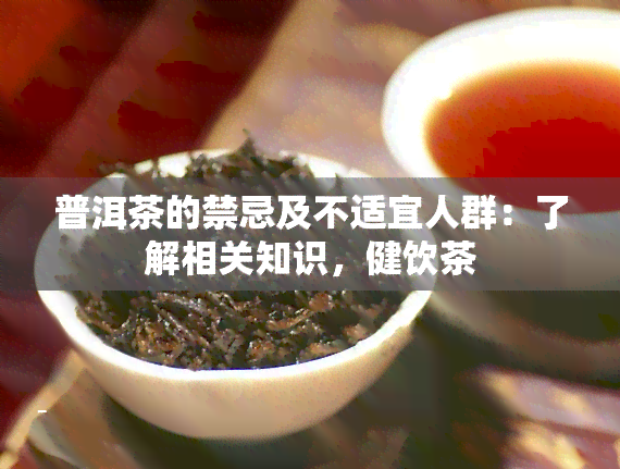 普洱茶的禁忌及不适宜人群：了解相关知识，健饮茶