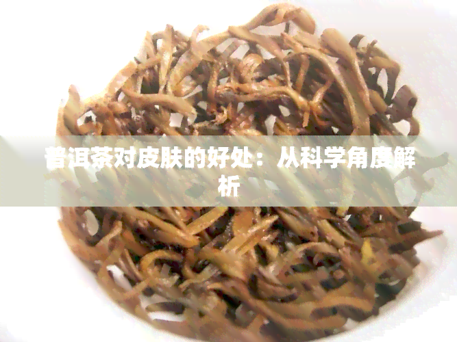 普洱茶对皮肤的好处：从科学角度解析