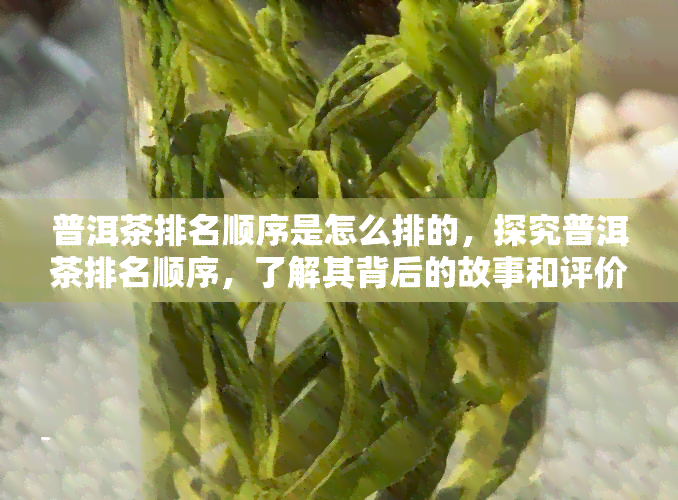 普洱茶排名顺序是怎么排的，探究普洱茶排名顺序，了解其背后的故事和评价标准