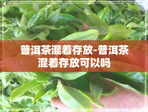 普洱茶混着存放-普洱茶混着存放可以吗