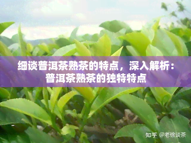 细谈普洱茶熟茶的特点，深入解析：普洱茶熟茶的独特特点