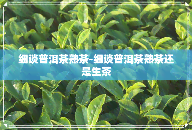 细谈普洱茶熟茶-细谈普洱茶熟茶还是生茶