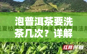 泡普洱茶要洗茶几次？详解冲泡方法