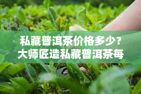 私藏普洱茶价格多少？大师匠造私藏普洱茶每盒售价是多少？