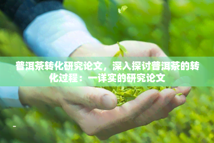 普洱茶转化研究论文，深入探讨普洱茶的转化过程：一详实的研究论文