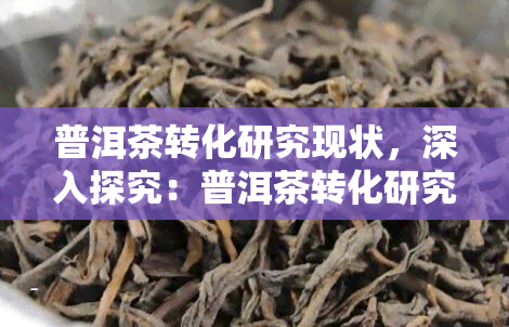 普洱茶转化研究现状，深入探究：普洱茶转化研究的最新进展与现状