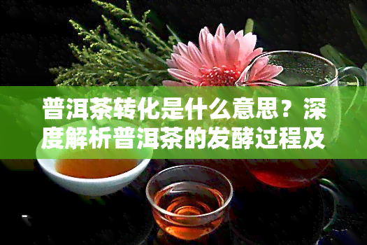 普洱茶转化是什么意思？深度解析普洱茶的发酵过程及影响因素