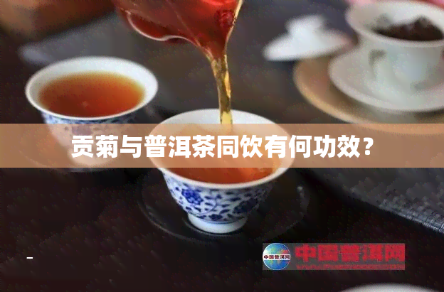 贡菊与普洱茶同饮有何功效？