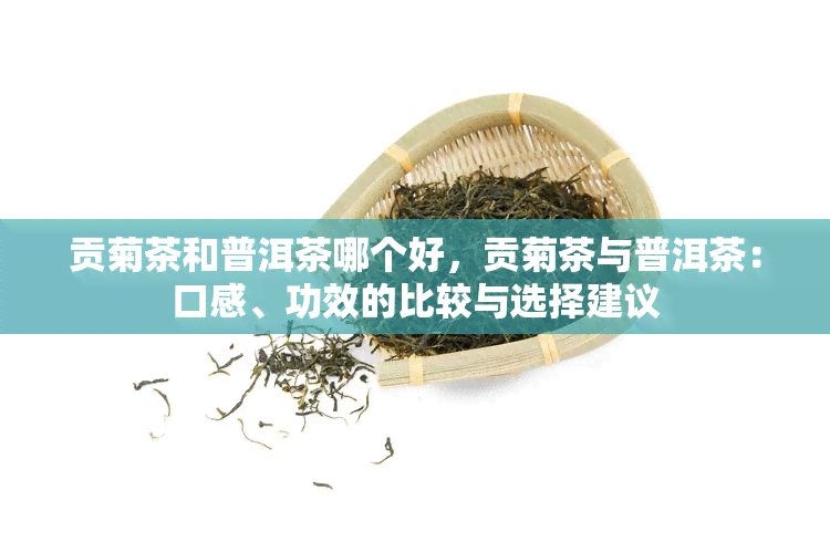 贡菊茶和普洱茶哪个好，贡菊茶与普洱茶：口感、功效的比较与选择建议