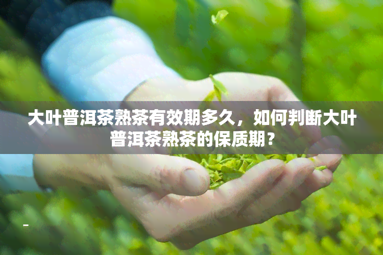 大叶普洱茶熟茶有效期多久，如何判断大叶普洱茶熟茶的保质期？