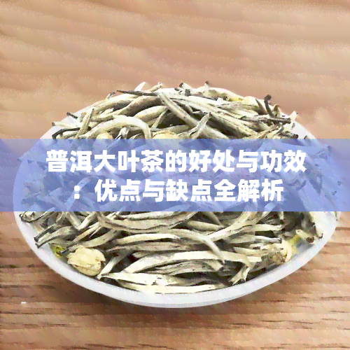 普洱大叶茶的好处与功效：优点与缺点全解析