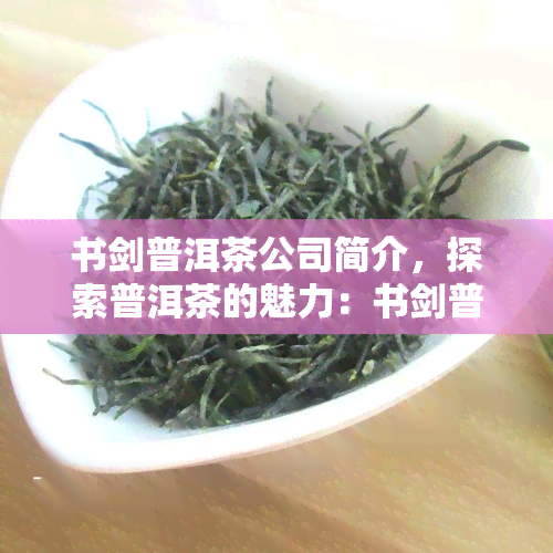 书剑普洱茶公司简介，探索普洱茶的魅力：书剑普洱茶公司的介绍与产品解读