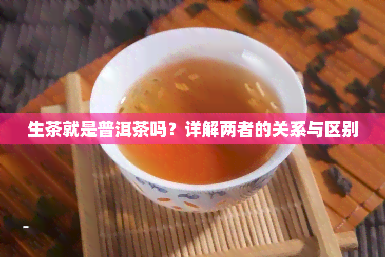 生茶就是普洱茶吗？详解两者的关系与区别