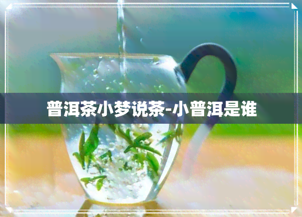 普洱茶小梦说茶-小普洱是谁