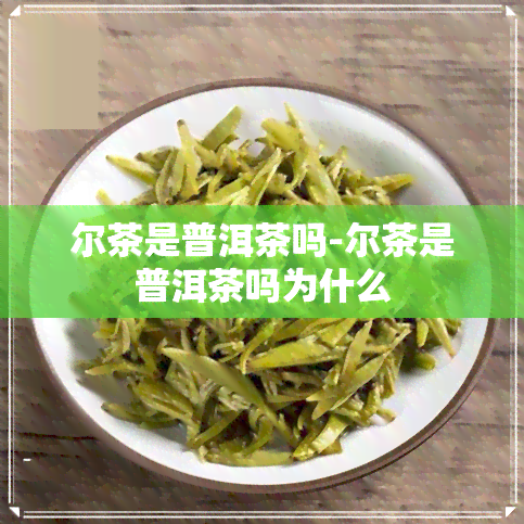 尔茶是普洱茶吗-尔茶是普洱茶吗为什么