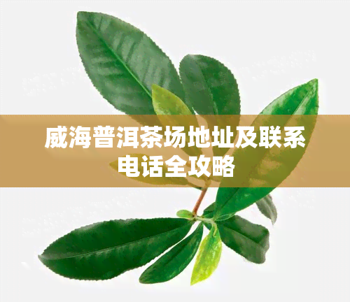 威海普洱茶场地址及联系电话全攻略