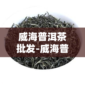 威海普洱茶批发-威海普洱茶场在哪