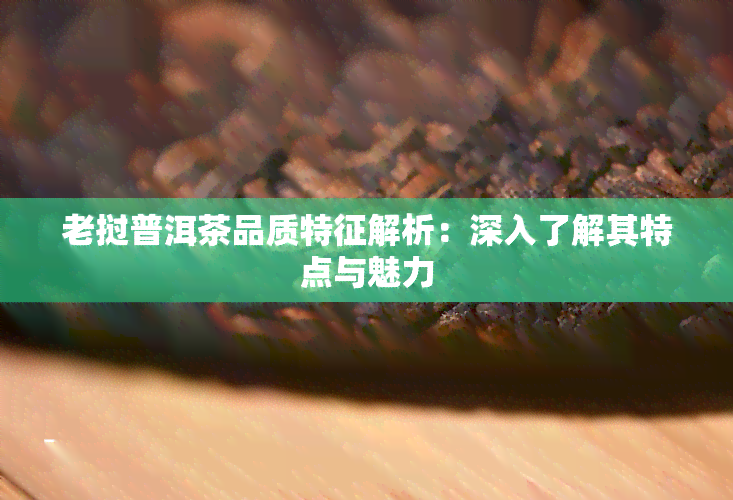 老挝普洱茶品质特征解析：深入了解其特点与魅力