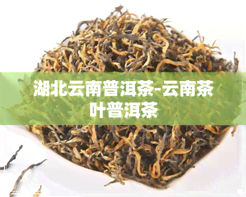 湖北云南普洱茶-云南茶叶普洱茶