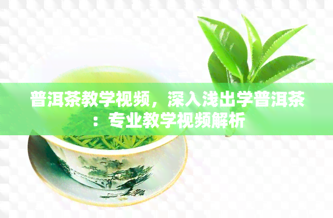 普洱茶教学视频，深入浅出学普洱茶：专业教学视频解析