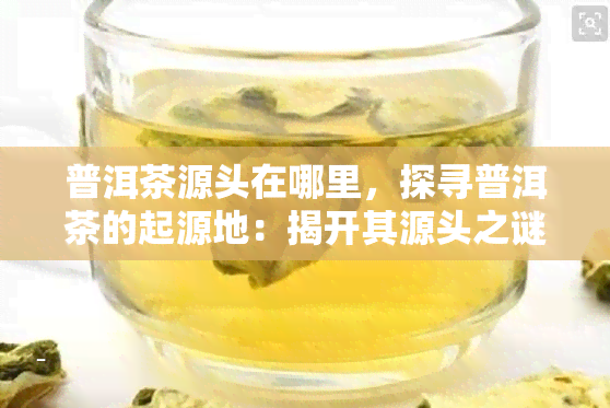 普洱茶源头在哪里，探寻普洱茶的起源地：揭开其源头之谜