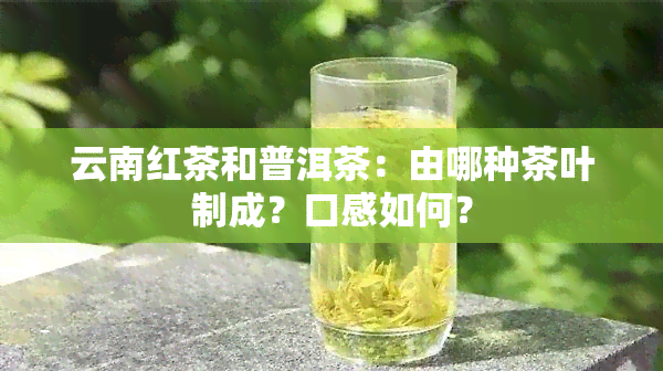 云南红茶和普洱茶：由哪种茶叶制成？口感如何？