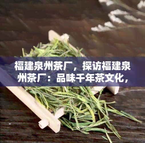 福建泉州茶厂，探访福建泉州茶厂：品味千年茶文化，领略制茶工艺