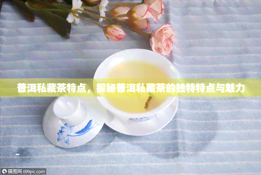 普洱私藏茶特点，探秘普洱私藏茶的独特特点与魅力