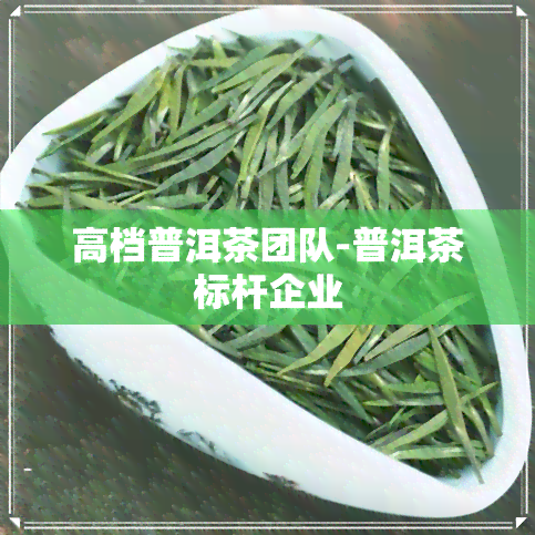 高档普洱茶团队-普洱茶标杆企业