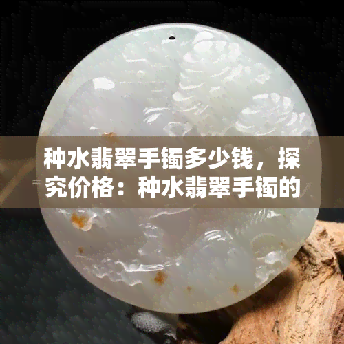 种水翡翠手镯多少钱，探究价格：种水翡翠手镯的市场价格分析