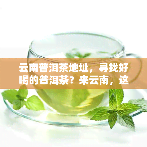 云南普洱茶地址，寻找好喝的普洱茶？来云南，这里是最正宗的产地！