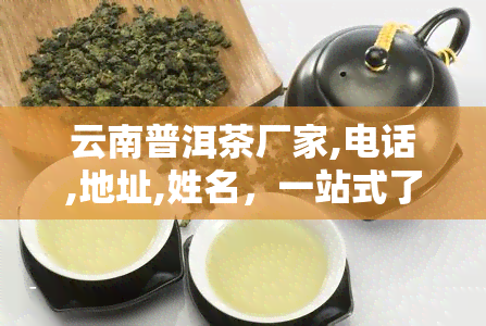 云南普洱茶厂家,电话,地址,姓名，一站式了解云南普洱茶：厂家、电话、地址及联系人信息