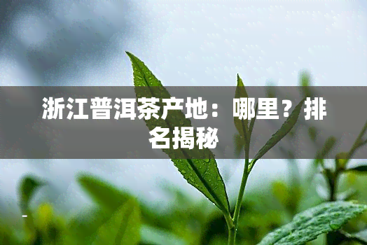 浙江普洱茶产地：哪里？排名揭秘