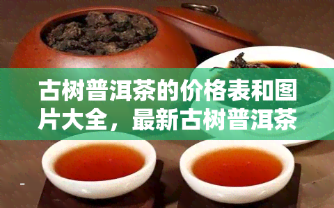 古树普洱茶的价格表和图片大全，最新古树普洱茶价格表及高清图片大全，一网打尽！