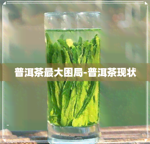 普洱茶更大困局-普洱茶现状