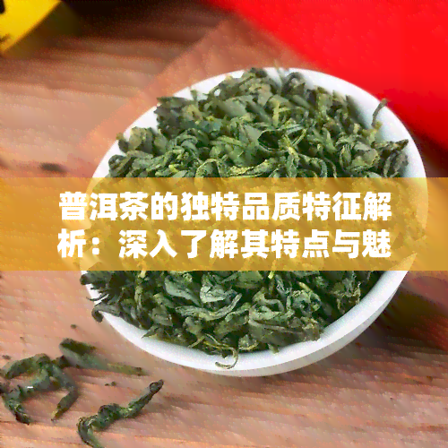 普洱茶的独特品质特征解析：深入了解其特点与魅力