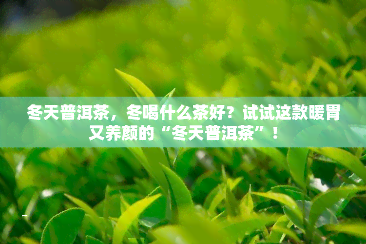 冬天普洱茶，冬喝什么茶好？试试这款暖胃又养颜的“冬天普洱茶”！