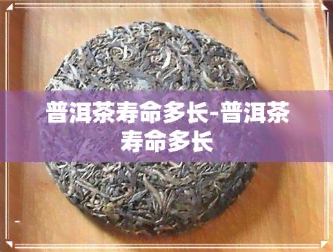 普洱茶寿命多长-普洱茶寿命多长