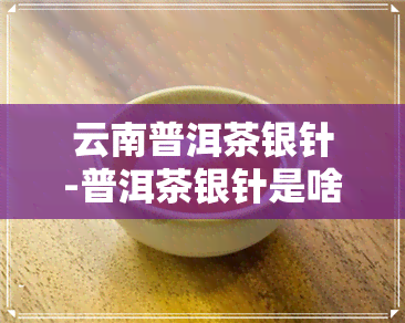 云南普洱茶银针-普洱茶银针是啥品种