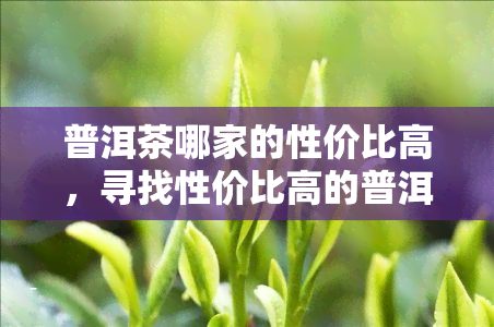 普洱茶哪家的性价比高，寻找性价比高的普洱茶？看这里！