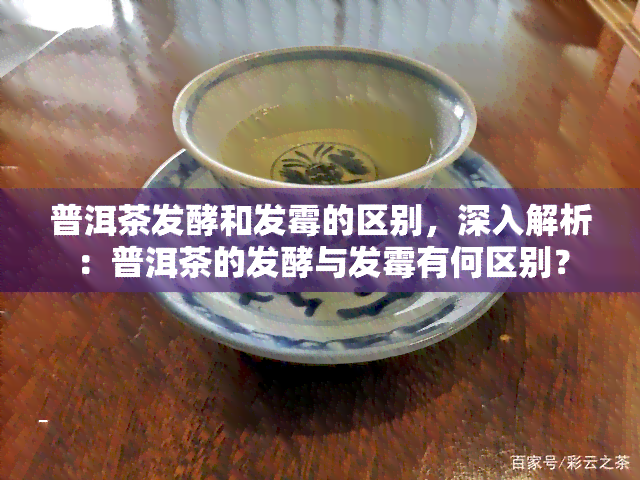 普洱茶发酵和发霉的区别，深入解析：普洱茶的发酵与发霉有何区别？