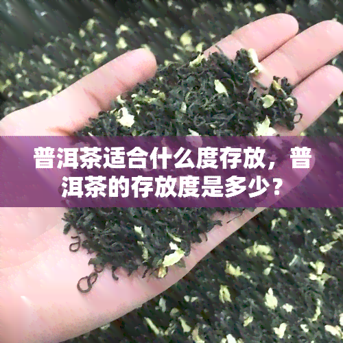 普洱茶适合什么度存放，普洱茶的存放度是多少？