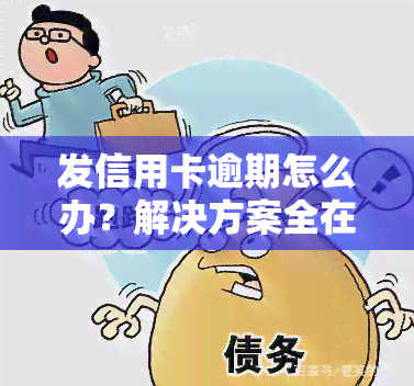 发信用卡逾期怎么办？解决方案全在这里！