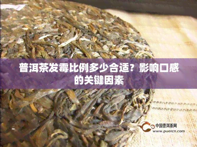 普洱茶发霉比例多少合适？影响口感的关键因素