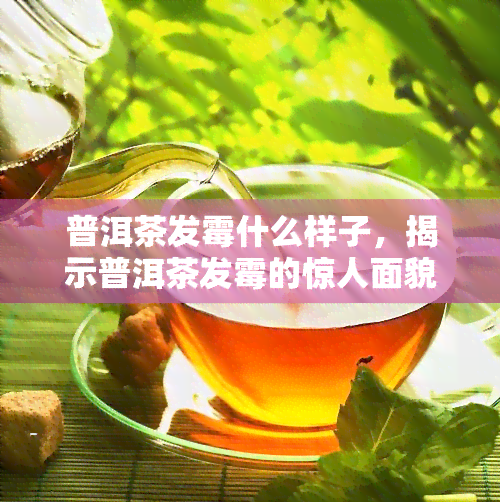 普洱茶发霉什么样子，揭示普洱茶发霉的惊人面貌：你可能不知道的秘密