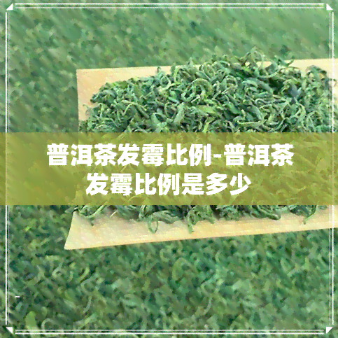 普洱茶发霉比例-普洱茶发霉比例是多少