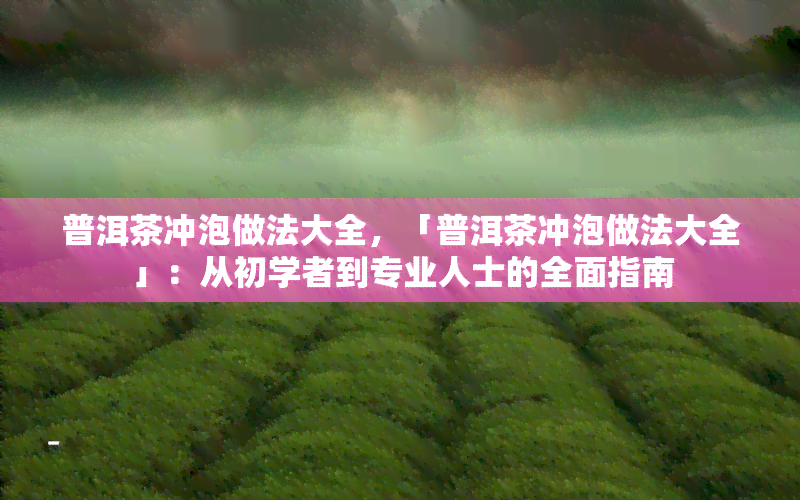 普洱茶冲泡做法大全，「普洱茶冲泡做法大全」：从初学者到专业人士的全面指南