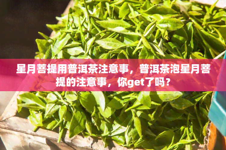 星月菩提用普洱茶注意事，普洱茶泡星月菩提的注意事，你get了吗？